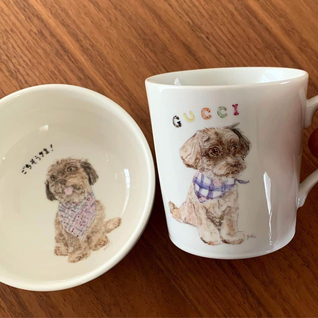 前田典子さんのインスタグラム写真 - (前田典子Instagram)「オレっちのお皿 🐶 わん友ルイスのママ @minakomatsuisaito ちゃんからのプレゼント🎁😆 #嬉しいなぁ💕  オレっちを描いてくれたのは 豆柴トゥルー&エヴァーのママ #ありがとう❤️ ❤️❤️❤️❤️ ママ用のマグカップもお揃いだよ ☕️ #クリスマスは ワンコケーキ🎄🎂 食べたいけど… ダイエット中なんだ〜オレっち😞 #ぐっち  #dog #pet #犬 #チワプー #ミックス犬🐕🐩」12月23日 9時40分 - maenorichang