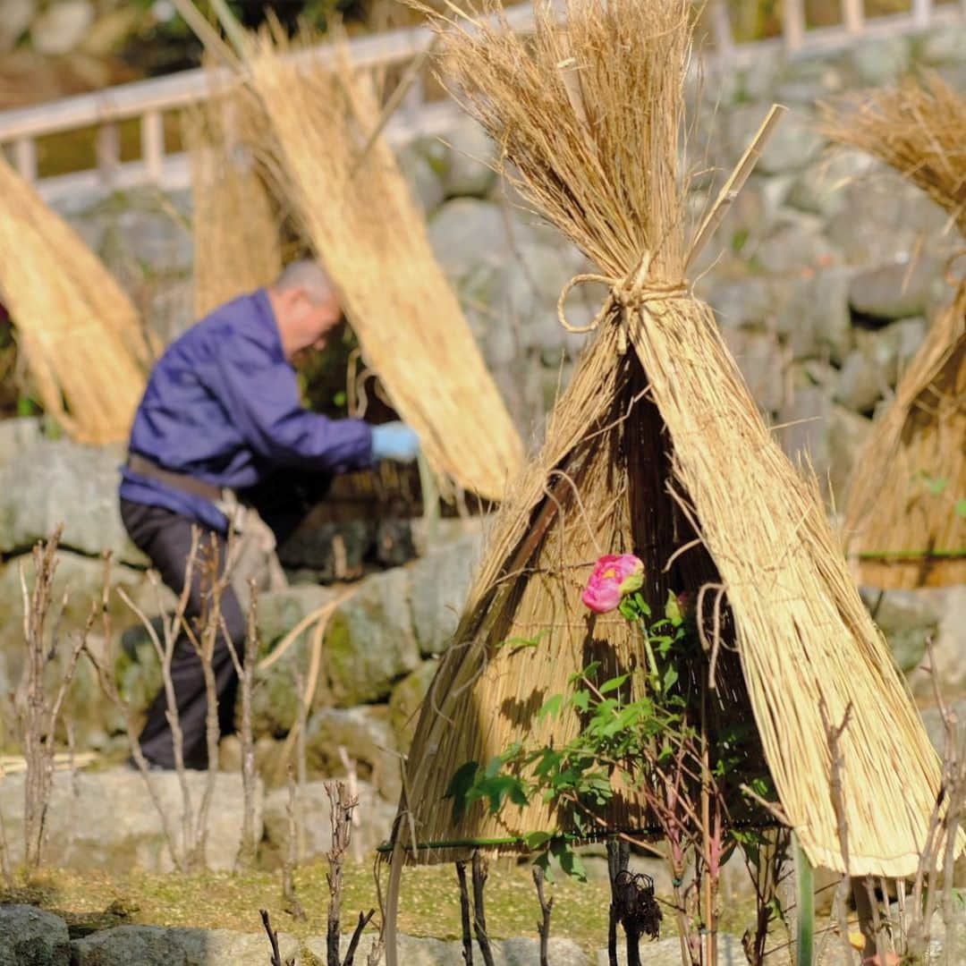 奈良 長谷寺 / nara hasederaのグルメインスタ