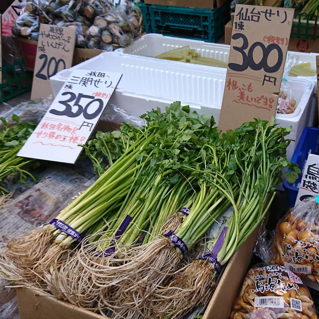 のインスタグラム：「仙台朝市で今日の夜ご飯のお買い物(^○^)『せり鍋』に決定！せりは根っ子が美味しいのです♪原木ジャンボなめこもこの時期限定物らしく、せり鍋に入れよう(*^^*) #仙台 #宮城県 #仙台朝市 #せり #せり鍋 #原木ジャンボなめこ #市場 #レギュラー松本 #あるある探検隊」