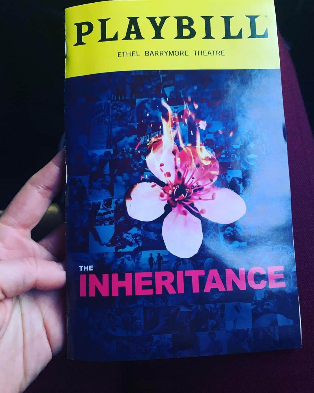 ブリジット・モイナハンさんのインスタグラム写真 - (ブリジット・モイナハンInstagram)「My hats off to writer, director every actor, every muse of @theinheritanceplay #breathtaking #heartbreaking #brilliant #trulyinspiring #grateful #theatreatitsbest #nyc #broadway #storymustbetold #neverforget」12月23日 12時46分 - bridgetmoynahan