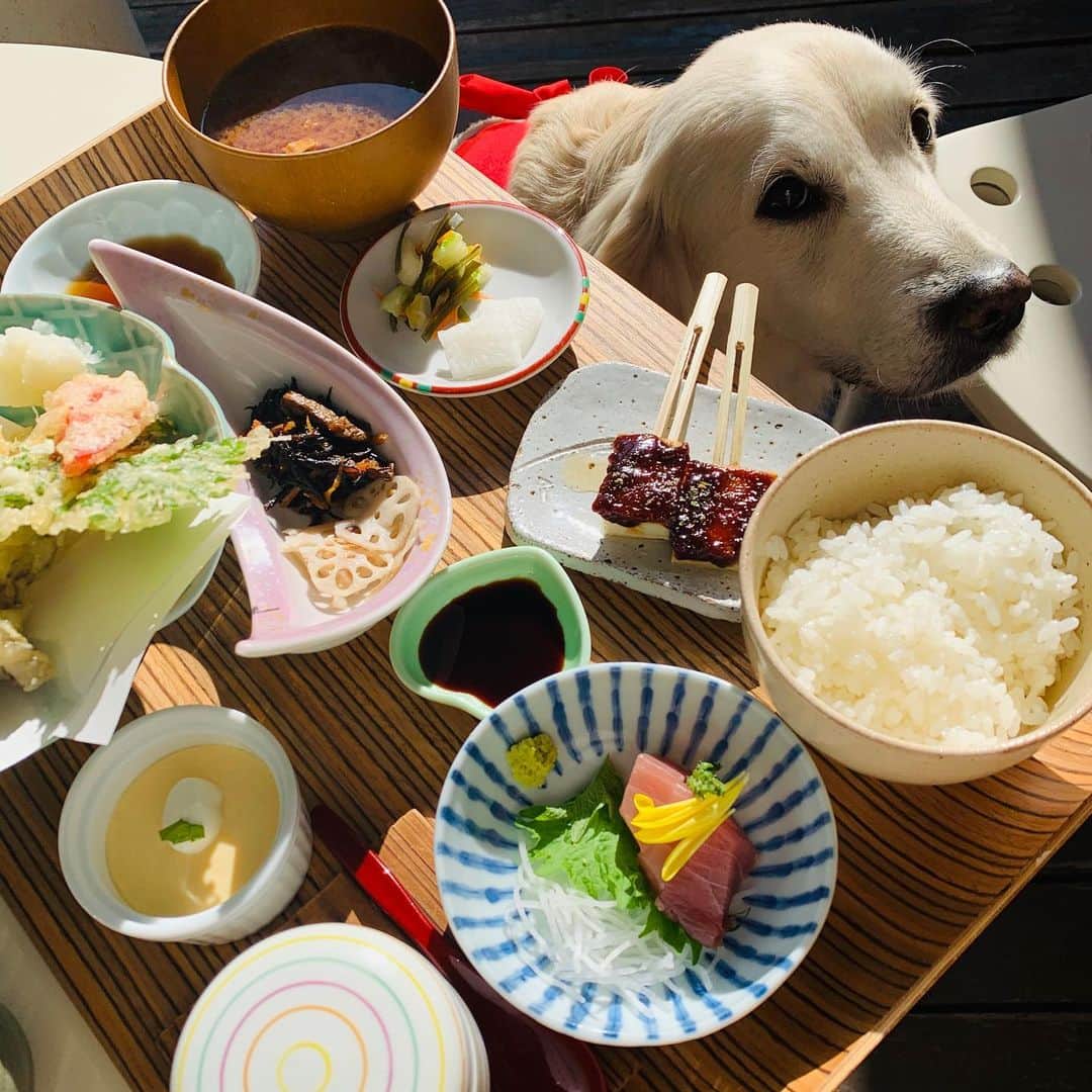 P太郎ママのグルメインスタ