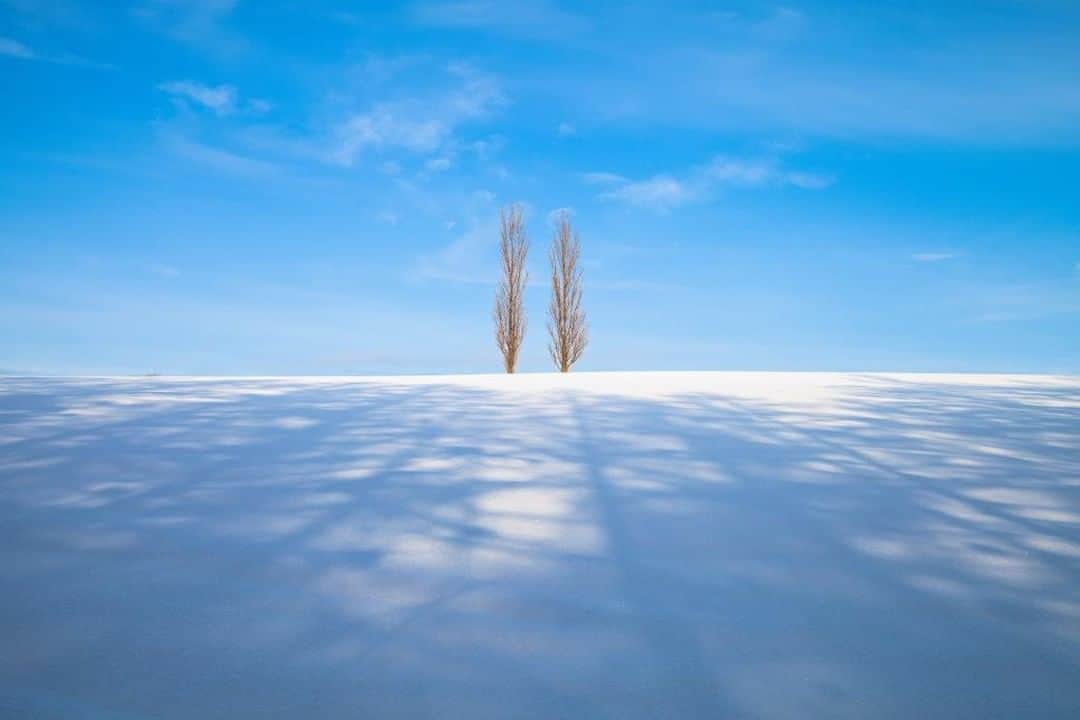 Canon Asiaのインスタグラム：「Eriko Tsunami effectively used the polar tree shadows 👤 to add variation to the white snowy ❄️ grounds! Using positive exposure compensation, she lightened the shadows to give a soft atmosphere to the entire image. ⁣ ⁣Learn more about winter photography spots in Hokkaido, link in bio! ⁣ ⁣📷 Image by Eriko Tsunami shot using the Canon EOS 5D Mark II | Canon EF 24-105mm f/4L IS USM | f/10 | 1/250s | ISO 100 | 40mm ⁣ ⁣Want your photos to be featured too? Tag them with #canonasia or submit them on My Canon Story, link in bio! ⁣ ⁣#canonasia #photography #hokkaido #japan #winterphotography #snow #winter #snowphotography #exposurecompensation #shadow」