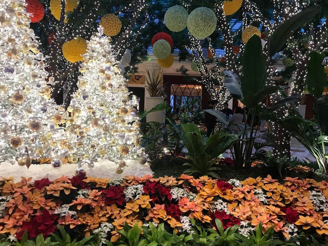 ジョンス のインスタグラム：「🎄🎄🎄」