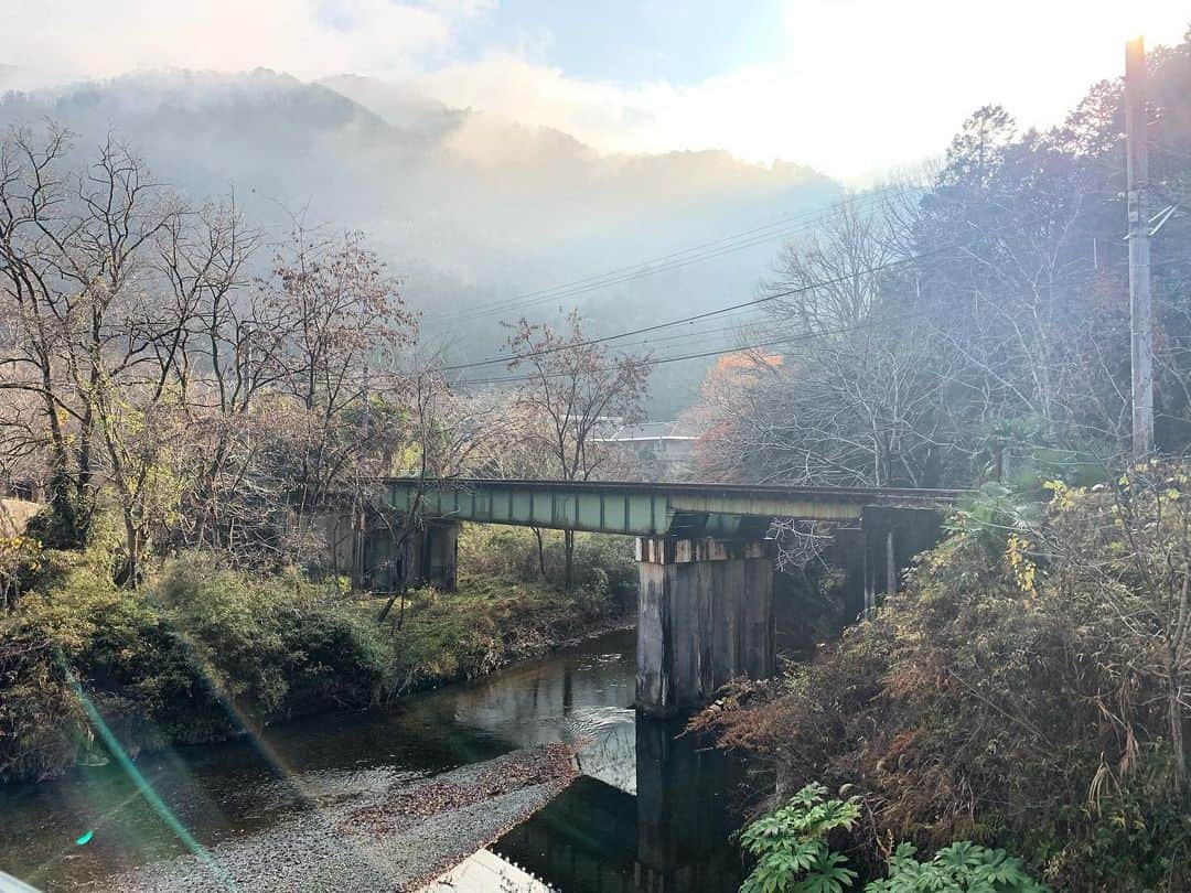 田中彩子のグルメインスタ