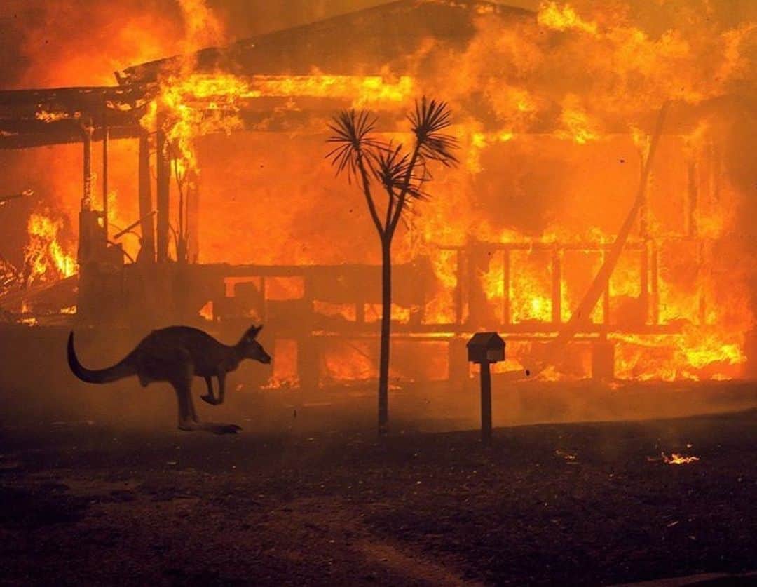 Peta Murgatroydさんのインスタグラム写真 - (Peta MurgatroydInstagram)「I’m so devastated to see what is happening in my country right now with the bush fires that are destroying homes, livelihoods and wildlife across Australia. ⠀⠀⠀⠀⠀⠀⠀⠀⠀⠀⠀⠀⠀⠀⠀⠀⠀⠀⠀⠀⠀⠀⠀⠀⠀⠀⠀ My heart goes out to the families and friends of those who have tragically lost their lives, and the brave firefighters who continue to risk their own lives to save others. Millions of animals have been burned in the cruelest way....it is breaking my heart. Australia is my motherland. ⠀⠀⠀⠀⠀⠀⠀⠀⠀⠀⠀⠀⠀⠀⠀⠀⠀⠀⠀⠀⠀⠀⠀⠀⠀⠀⠀ To find out how you can help, please see the link below or the additional resources in my story to donate ♥ ⠀⠀⠀⠀⠀⠀⠀⠀⠀⠀⠀⠀⠀⠀⠀⠀⠀⠀⠀⠀⠀⠀⠀⠀⠀⠀⠀ https://fundraise.redcross.org.au/drr (@redcrossau) ⠀⠀⠀⠀⠀⠀⠀⠀⠀⠀⠀⠀⠀⠀⠀⠀⠀⠀⠀⠀⠀⠀⠀⠀⠀⠀⠀ 📷: @nytimes / @mattabbottphoto ⠀⠀⠀⠀⠀⠀⠀⠀⠀⠀⠀⠀⠀⠀⠀⠀⠀⠀⠀⠀⠀⠀⠀⠀⠀⠀⠀ #australianbushfires」1月7日 2時37分 - petamurgatroyd