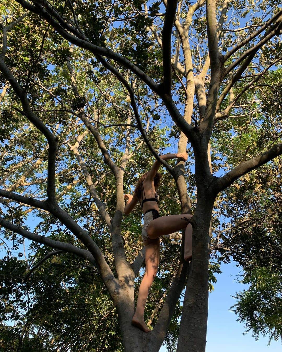 Amelia Zadroのインスタグラム：「My home, Australia, is burning, We need everyone’s support, These events can be devastating and they can also bring us together, Please donate if you can https://cfsfoundation.org.au @wireswildliferescue  @redcrossau  @salvosau ❤️」