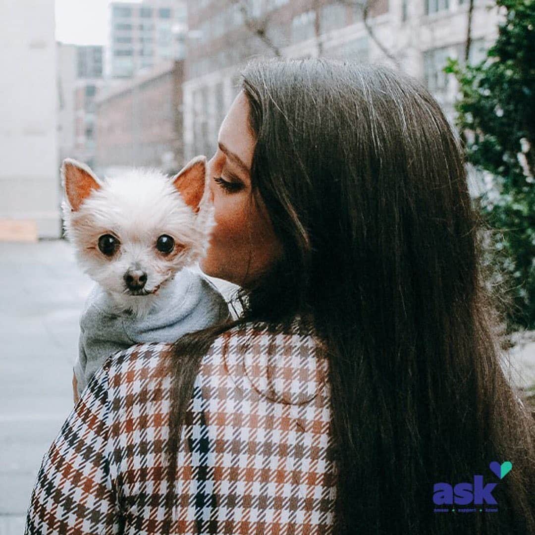 DogsOf Instagramのインスタグラム：「“Did you know that according to the CDC 1 in 6 veterinarians considers suicide due to serious psychological distress? When I chose my job I knew I had to work for a company that is cognizant of this- the more we talk about this serious issue that plagues our profession, the closer we come to making sure that those who spend their lives caring for our animals stay safe. The veterinary field is full of committed, passionate animal lovers, and while so many think our job is all puppy kisses and kitten snuggles, the reality is that veterinarians are subject to an incredible amount of stress, caused by emotional, financial, and job-related stressors. And some of us don’t make it. That’s why I’m honored to share with you a new training program “ASK” (Assess, Support, Know), brought to you by @banfieldpethospital. ASK is available as a free resource for all veterinary professionals and veterinary school students to help them recognize and address emotional distress and suicidal thoughts. Whether it’s joining us in sharing this image or reaching out to your veterinary team to express your appreciation – let’s unite and show our support for the veterinary professionals who give so much of themselves to our pets. To honor my veterinary colleagues, I will be going dark for the rest of today (1/6).” writes @drlisalippman // 🐶 @ellabeanthedog  Learn more about ASK at wwww.ASKAssessSupportKnow.com」
