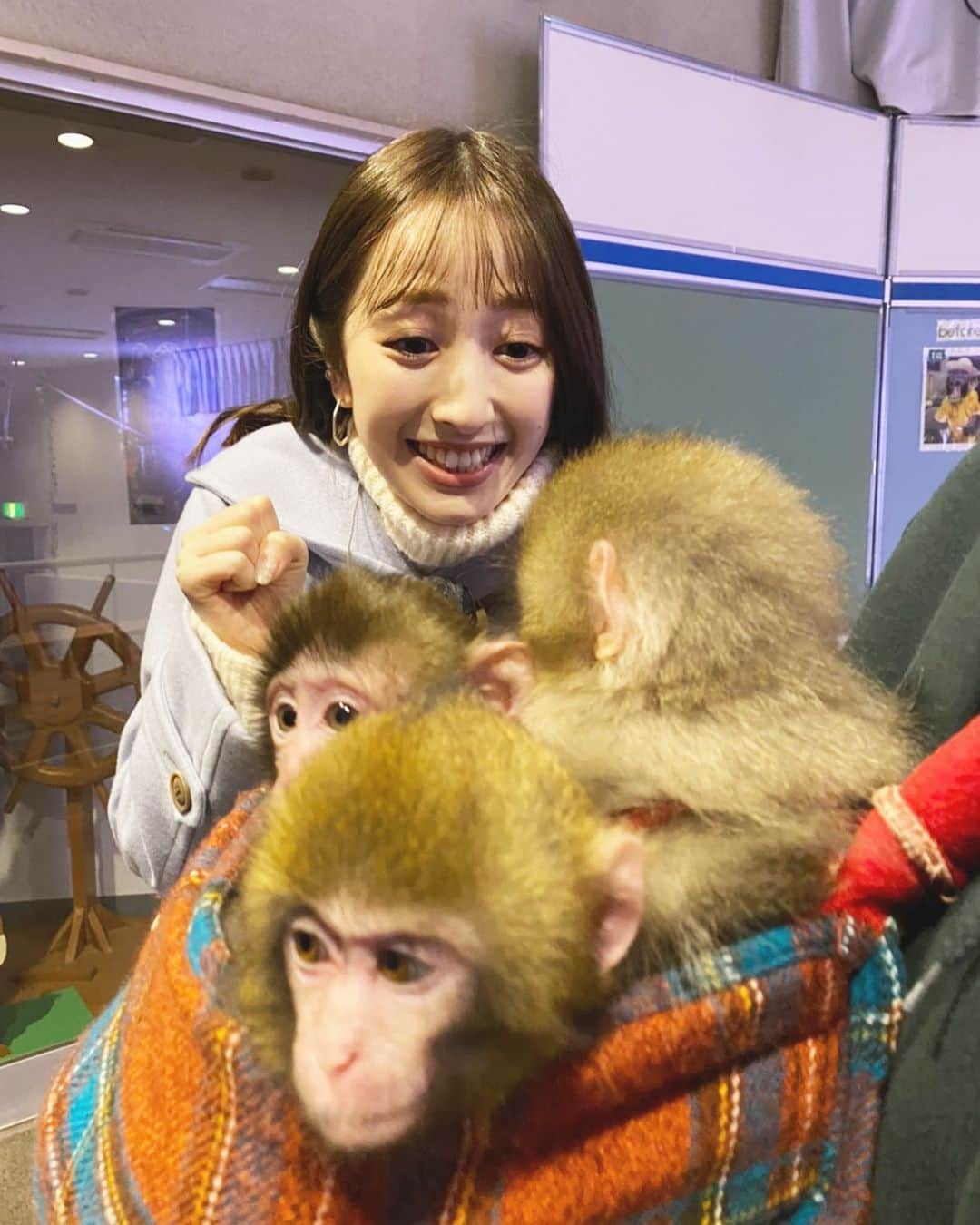 團遥香さんのインスタグラム写真 - (團遥香Instagram)「栃木県「日光猿軍団」から生中継😇 赤ちゃん猿🐒可愛かったぁぁ🧡」1月7日 8時09分 - haruka_dan_official