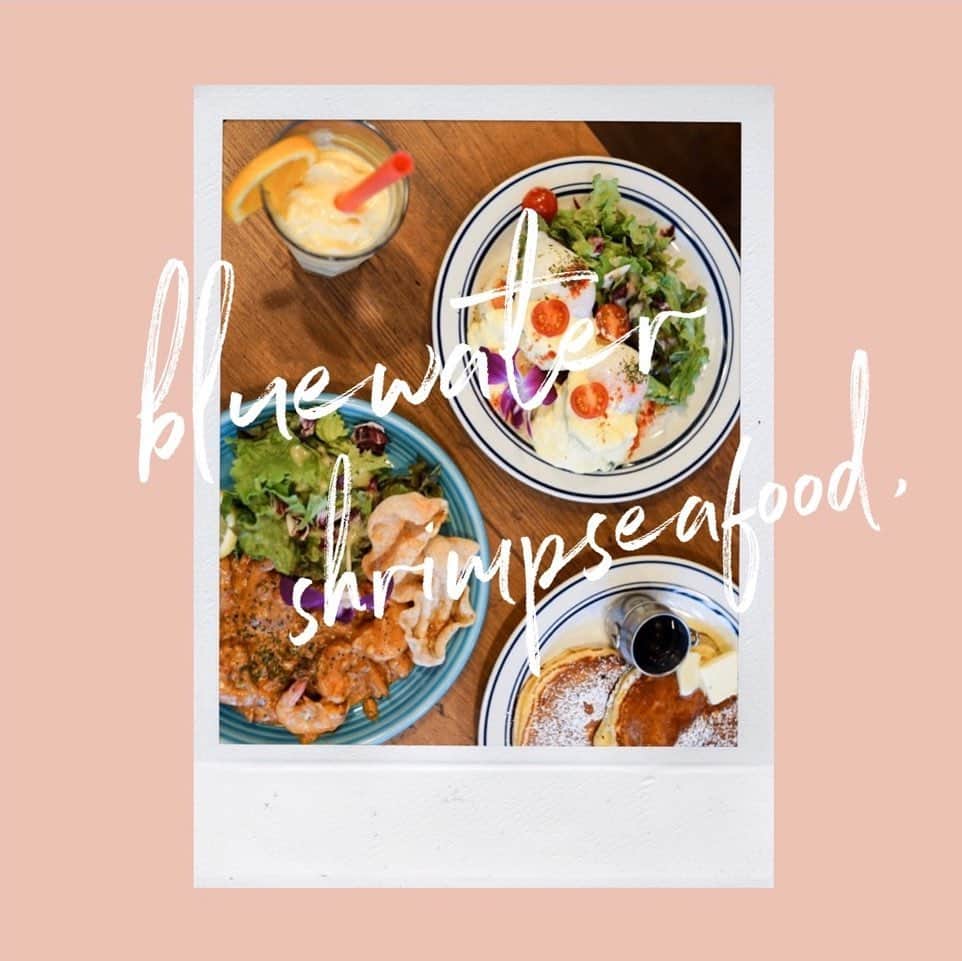 島野ミキのグルメインスタ