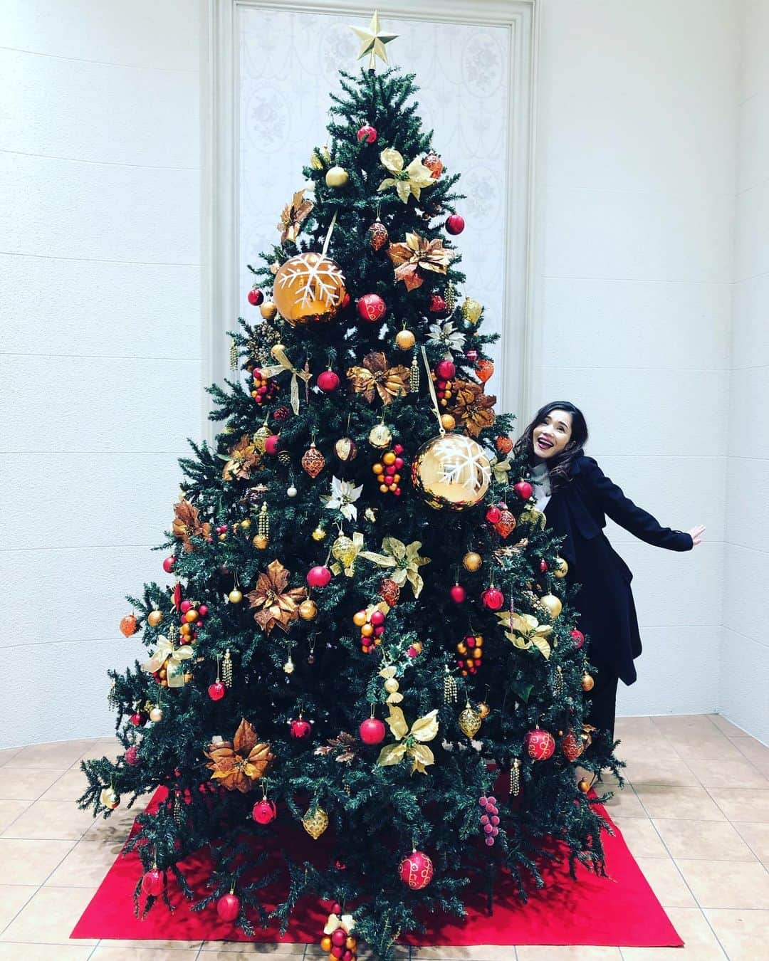 平野ノラさんのインスタグラム写真 - (平野ノラInstagram)「🎁🍗🎄🎂🍷🎉🎅 #全て人様のツリーでお届けしております #バブリークリスマス #聖なる夜はどう過ごす？」12月24日 0時09分 - noranoranora1988
