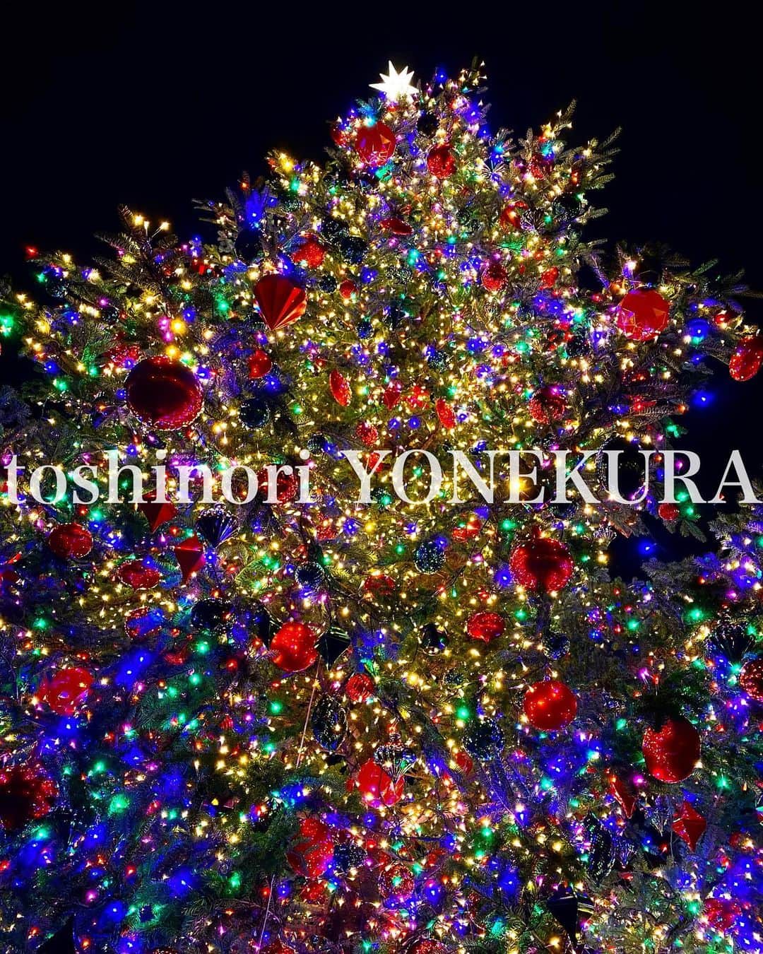 米倉利紀さんのインスタグラム写真 - (米倉利紀Instagram)「HAPPY HOLIDAYS -merry christmas eve」12月24日 0時14分 - toshi_yonekura