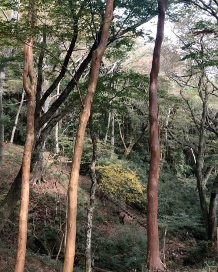 Hiashi Maeharaのインスタグラム