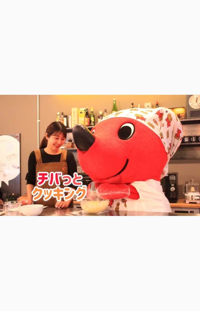 チーバくんのインスタグラム