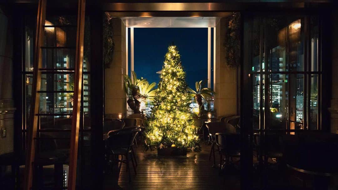［公式］オリエンタルホテル神戸・旧居留地さんのインスタグラム写真 - (［公式］オリエンタルホテル神戸・旧居留地Instagram)「. ORIENTAL HOTELでは本日から3日間、クリスマスのディナーコースをご用意しております。 Its that time of year, and there is no better place to be than Kobe. _ #xmasinkobe #クリスマス #ohk_xmas #神戸 #omotenashihotels #orientalhotelkobe #orientalhotel #オリエンタルホテル #オリエンタルホテル旧居留地 #旧居留地」12月23日 17時29分 - oriental.hotel.kobe