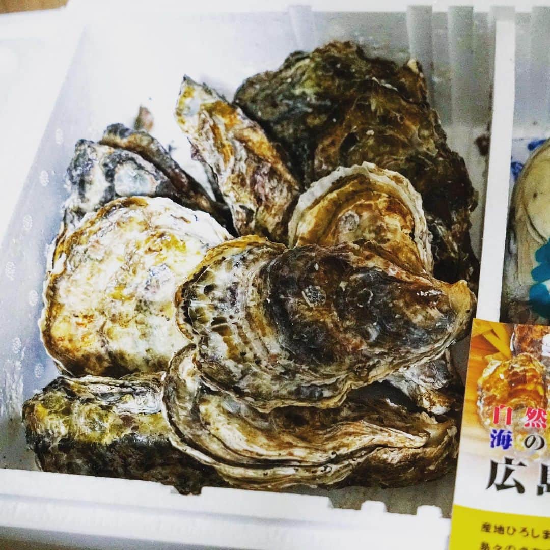 ゴンゾーさんのインスタグラム写真 - (ゴンゾーInstagram)「I got a lot of oysters from Hiroshima. Thank you!」12月23日 17時31分 - gonzotambourine