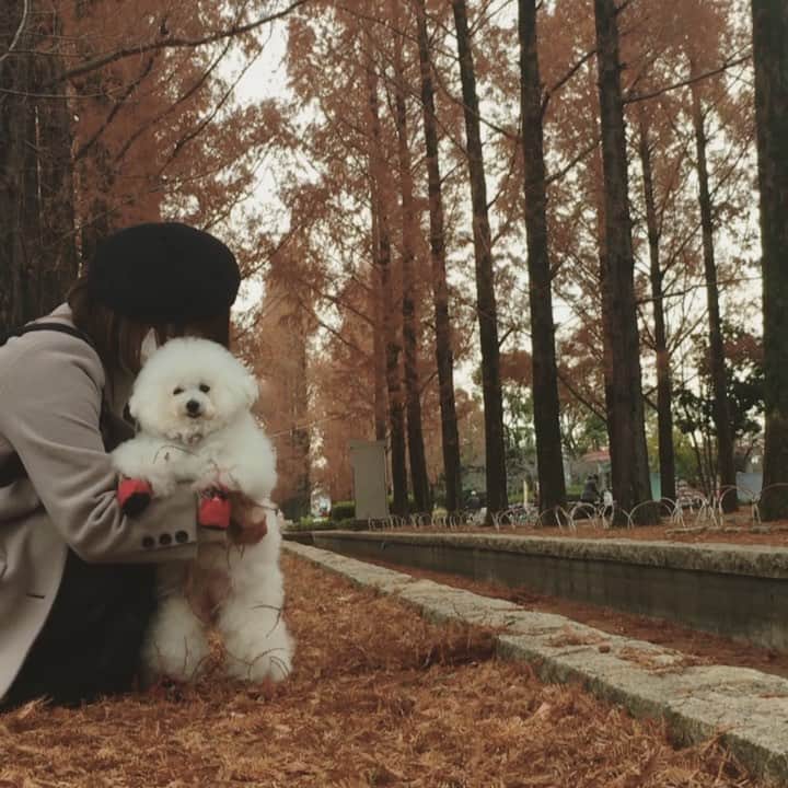 ゆうのインスタグラム：「. . 抱っこしたら えらい事になってた🤣🤣 . . .」