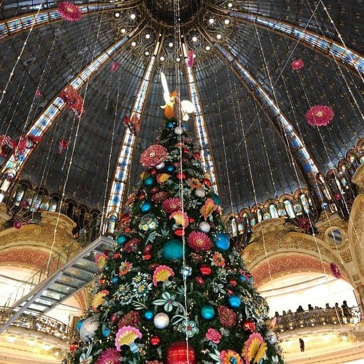 PAUL & JOE BEAUTEさんのインスタグラム写真 - (PAUL & JOE BEAUTEInstagram)「・ 【Christmas In Paris🇫🇷】 The Galeries Lafayette is beautifully decorated to suit the season.  This year’s theme is ‘beehive’ with a queen bee sitting atop the magnificent trees, surrounded by flowers.  What a beautiful way to welcome the holidays we’ve been waiting for♪  @galerieslafayette  #PaulandJoe #paulandjoebeaute #ポールアンドジョー #holiday #christmas #christmastree #christmaseve #christmasinparis」12月23日 18時01分 - paulandjoe_beaute