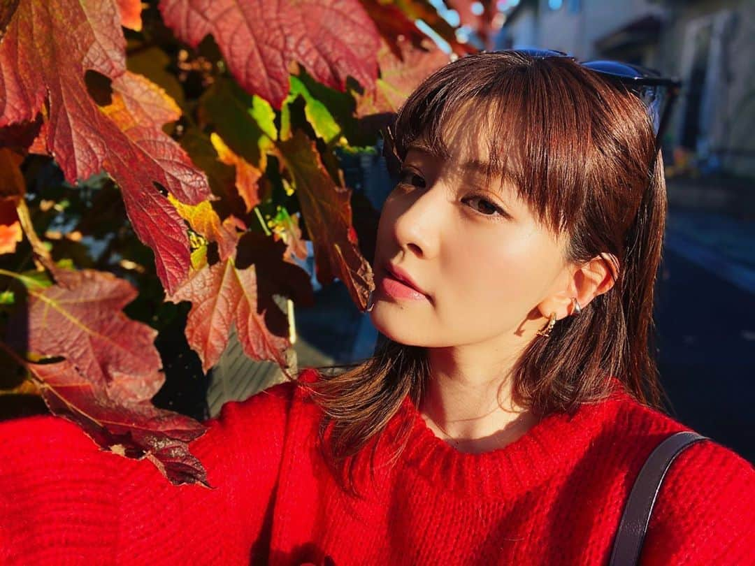 岡本杏理さんのインスタグラム写真 - (岡本杏理Instagram)「今日はとっても晴れましたね🍁♡」12月23日 18時03分 - anri_okamoto