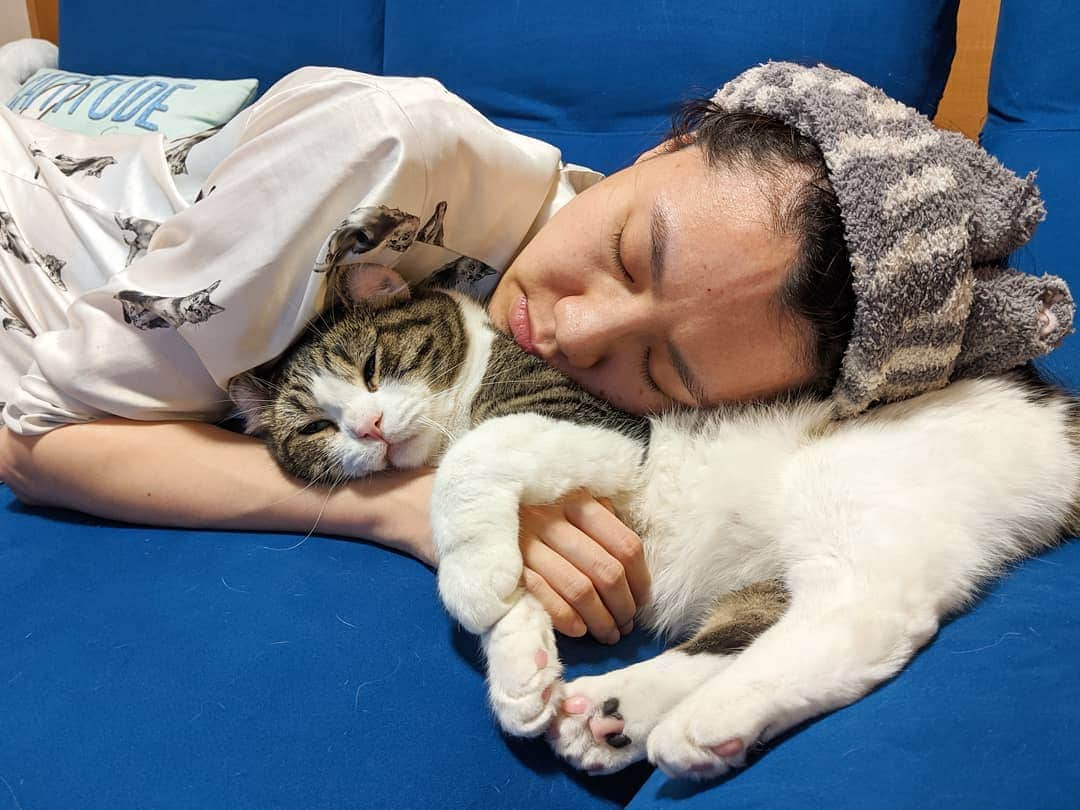 スノーさんのインスタグラム写真 - (スノーInstagram)「My human has a big heavy head and she is annoying sometimes but I can feel her love somehow♥️ • #fluffypillow  #catsofinstagram #cats_of_instagram #catstagram #meowed #instagood #cat #cats #kucing #gato #chat #catloversclub #catlover #9gag #weeklyfluff #pleasantcats #kedi #katze #kawaii #neko #instagramjapan #고양이 #кот #แมว #猫 #ふわもこ部 #ペコねこ部」12月23日 18時22分 - curlysnow0915