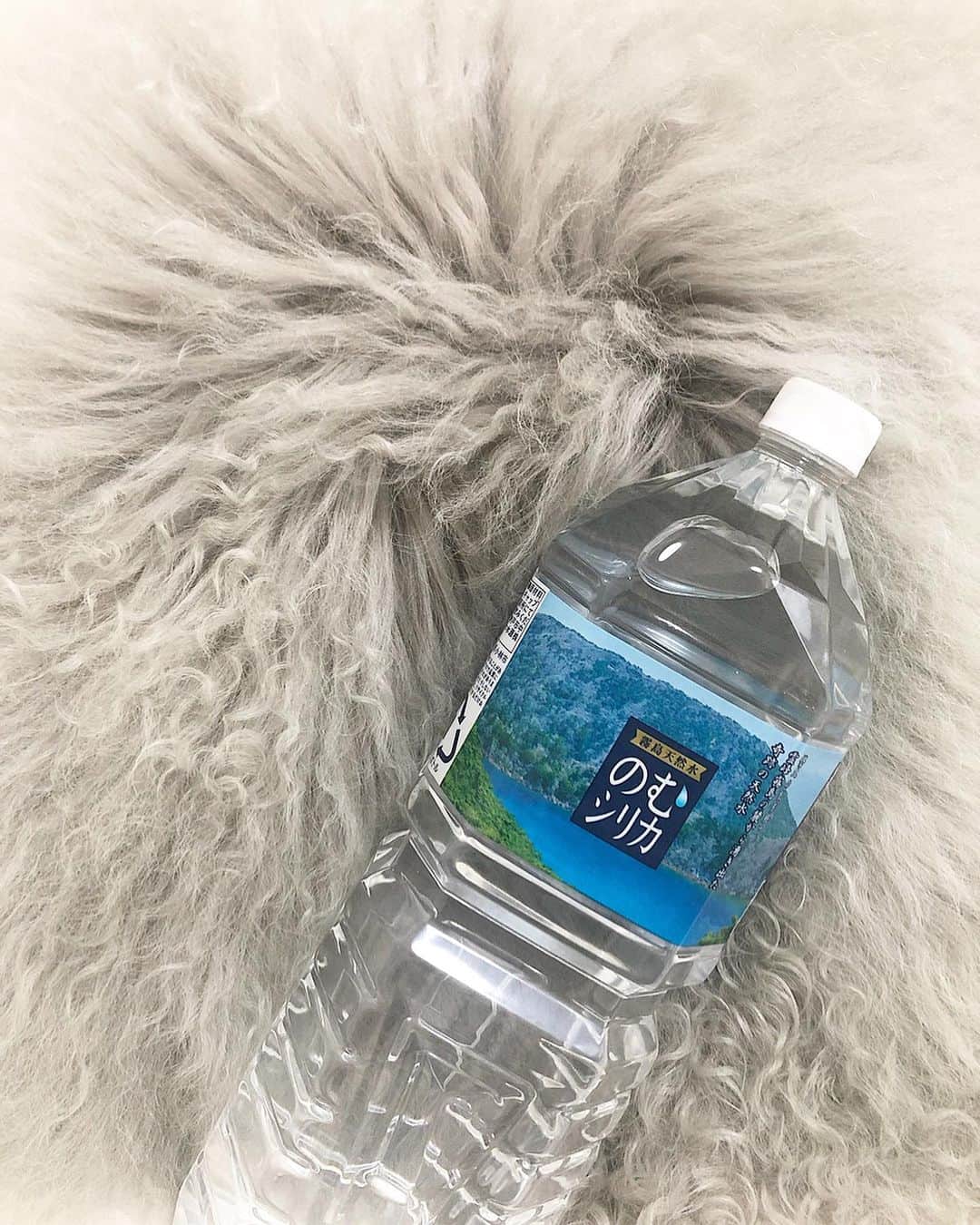 石田美奈子さんのインスタグラム写真 - (石田美奈子Instagram)「𝕄𝕪 𝕗𝕒𝕧𝕠𝕣𝕚𝕥𝕖 𝕨𝕒𝕥𝕖𝕣. . 以前から飲んでいるお水、#のむシリカ ✨ 4大ミネラルを豊富に含んでいて、#デトックス効果 が高い#シリカ水 です☺︎ #ダイエット や#美肌 、新陳代謝アップにオススメのお水。 これを飲み始めてからお通じが良くなったので、便秘がちの方にもすごくオススメ‼︎ 飲みやすい中硬水です。 . のむシリカに2ℓが登場したので、お家用に買い置き。お料理用にも使いやすい！🍳 外出用の500mlと使い分けています☺︎ . @nomusilica_official . #のむシリカ2リットル #シリカ #霧島天然水 #お鍋の季節 #鍋パ #鍋ダイエット #Supported #diet」12月23日 18時24分 - mminakooo