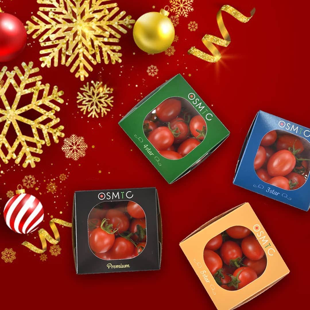 ＯＳＭＩＣ【オスミックトマト公式】さんのインスタグラム写真 - (ＯＳＭＩＣ【オスミックトマト公式】Instagram)「﻿ ﻿ ﻿ 🆕パッケージをリニューアルしました🆕﻿ ﻿ ﻿ OSMICトマトのパッケージが12月よりリニューアル致しました！🍅🎉﻿ ﻿ クリスマスパーティーでテーブルに置いてあるだけでも﻿ 食卓が華やかに🎄✨﻿ ﻿ ⚠︎ミニトマトの発送は2020年2月より順次発送となります﻿ ﻿ ﻿ ‐-------------------------------﻿ ﻿ ﻿ 今月、12月の #OSTOMAGRAM は、﻿ 「クリスマストマト」です！🎅🍅﻿ ﻿ OSMICトマトの真っ赤な赤でクリスマスカラーを彩った、﻿ 素敵な投稿お待ちしております！👀💓﻿ ﻿ （※投稿して頂く写真は、旧パッケージを使用して頂いても大丈夫です）﻿ ﻿ ﻿ #OSMIC #OSMICトマト #フルーツトマト #高糖度トマト #オスミック #オスミックトマト #OSTOMAGRAM #オストマグラム #ミニトマト #トマト料理 #トマトレシピ #野菜好き #おうちごはん #デリスタグラマー #野菜のある生活 #リコピン #トマト好き」12月23日 19時10分 - osmic_jp
