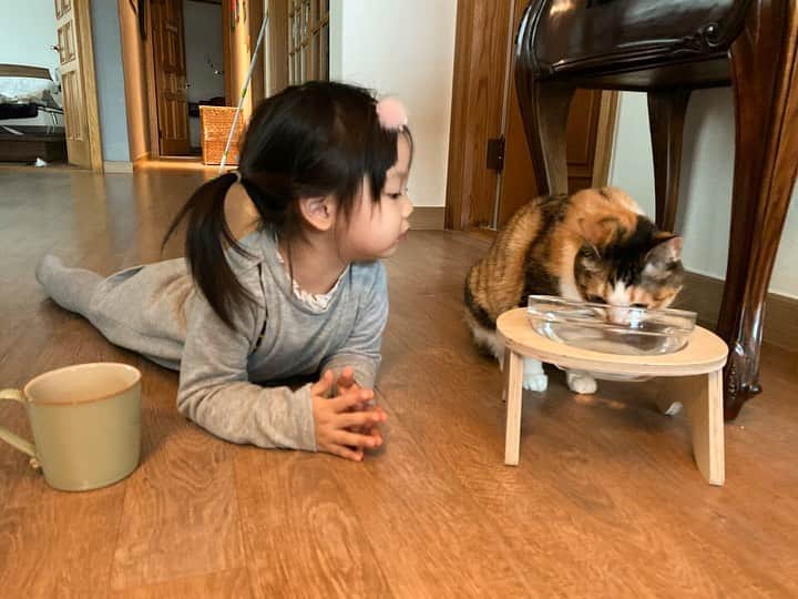 秋葉里枝さんのインスタグラム写真 - (秋葉里枝Instagram)「호야 물먹네? 나도 먹을까? 먹어야지! 🧒 ホヤ水飲むの？ 私も飲もうかな。 飲もう！🧒 - #고양이랑아기 #猫と赤ちゃん」12月23日 19時38分 - rie_akiba