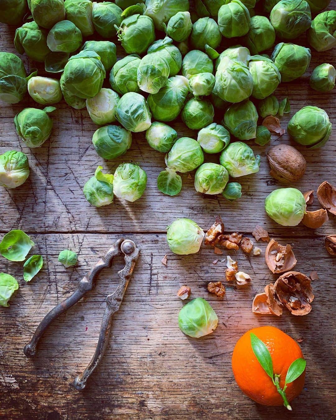 Tea and sittingのインスタグラム：「#brusselsprouts 🥬」