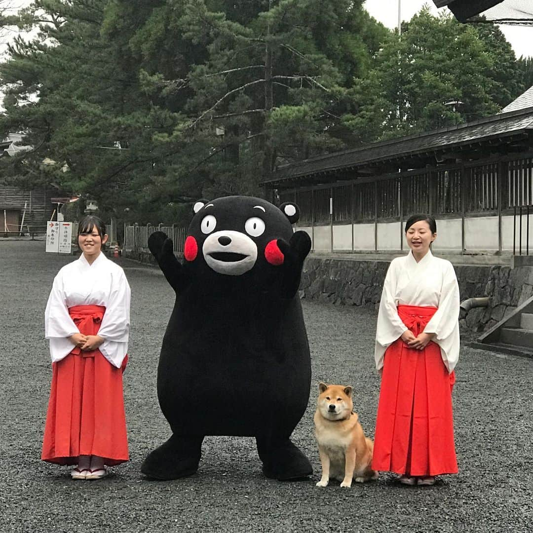 まる（まるたろう）さんのインスタグラム写真 - (まる（まるたろう）Instagram)「Thank you for all the great times with Kunamon✨🐶🐻✨くまモンとの思い出はいい思い出だよな〜 #また遊びに行きたい #熊本ってさお水が美味しいんだよね #草も美味しいし #最高かな #くまモン」12月23日 20時05分 - marutaro