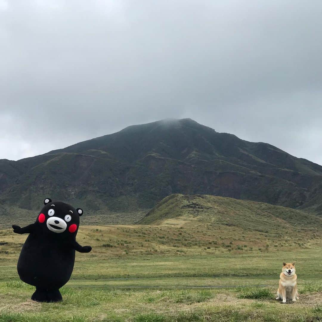 まる（まるたろう）さんのインスタグラム写真 - (まる（まるたろう）Instagram)「Thank you for all the great times with Kunamon✨🐶🐻✨くまモンとの思い出はいい思い出だよな〜 #また遊びに行きたい #熊本ってさお水が美味しいんだよね #草も美味しいし #最高かな #くまモン」12月23日 20時05分 - marutaro