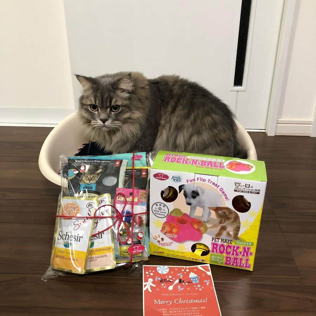 金太さんのインスタグラム写真 - (金太Instagram)「. @fantasystagram さんのクリスマスプレゼント🎁キャンペーンに当選しました😻❤️ . シシアスープは水分たっぷりで金太と蒼太の大好物✨他にもたくさん頂きました～🎁 . #ヘルスインディケーター 尿のpHをチェックできる砂がすごく気になります🤔 . ありがとうございました😍✨ . . . #ファンタジーワールド#シシア#オーブンベイクド#クリスマスプレゼント #スコティッシュフォールドの金ちゃん #スコティッシュフォールド  #ラガマフィンのそうちゃん #ラガマフィン  #catsofinstagram #scottishfold #Ragamuffin」12月23日 20時14分 - vvviopw