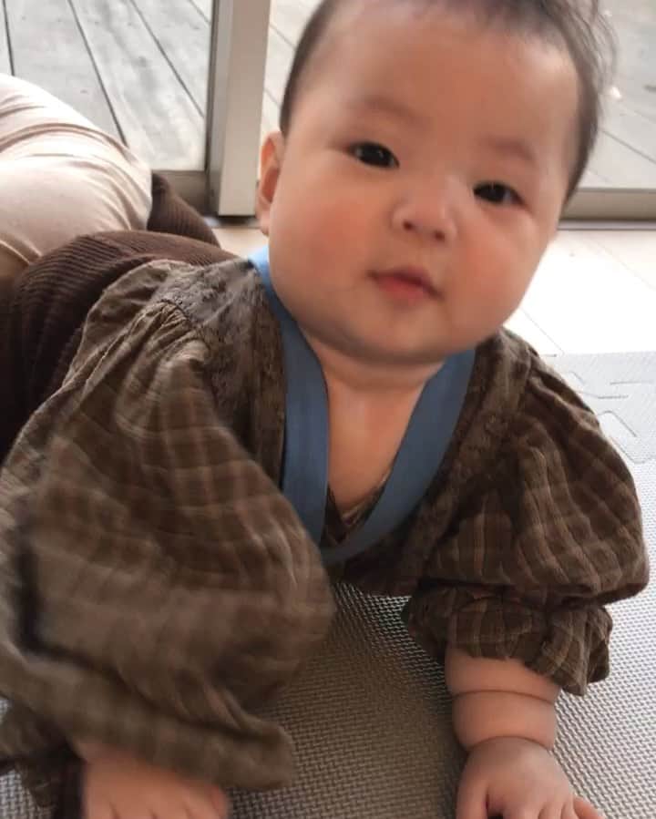濱中鮎子のインスタグラム：「タッチタッチ！というと、タッチするようになった..........！ まぐれかと思ったけど、どうもやれている.... 急な成長に驚き。😳 #お嬢の成長記  #6ヶ月ベビー  #ちょっと手を出し渋る感は否めないが」