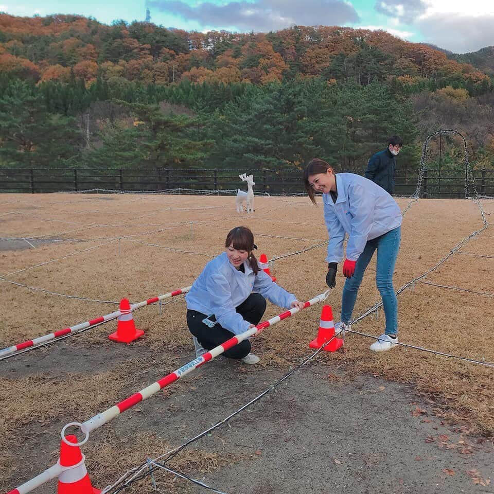 高橋遥さんのインスタグラム写真 - (高橋遥Instagram)「*﻿ 新潟県胎内市にある﻿ 菅原電気工事さん×リリマリのコラボで﻿ 「道の駅　胎内」さんのイルミネーションの﻿ デザイン&設置作業をしました！♡\(◡̈)/﻿ ﻿ 約2万個のLEDライト！﻿ 風や雨で飛ばないように結束バンドで﻿ 細かく止めていったり、針金でしっかり止めたり﻿ いつもきれいだな〜なんて見ていたイルミネーションの裏側では、こんなに大変な作業をしているんだなとしみじみ感じながら設置作業のお手伝いをさせて頂きました！﻿ ﻿ デザインも﻿ 星が有名な胎内なので空から﻿ 星が降ってくるイメージだったり、﻿ 道の駅胎内のお隣にある樽ヶ橋遊園の鹿さんを﻿ イメージしたイルミネーションに﻿ ＊﻿ ﻿ このイルミネーションは、﻿ 今日11/21〜1/10頃まで点灯予定です♪﻿ ﻿ このイルミネーションをきっかけに﻿ 胎内へたくさんの方に来て頂けたらうれしいです！﻿ ﻿ あったかくして、﻿ ぜひ遊びに行ってみてください＊﻿ ﻿ #イルミネーション #新潟県 #胎内市﻿ #道の駅胎内 #菅原電気工事　さん﻿ #リリマリ #リリマリコラボ #地域活性化﻿ #樽ヶ橋遊園 #星 #LED」12月23日 22時12分 - haruka.takahashi.33