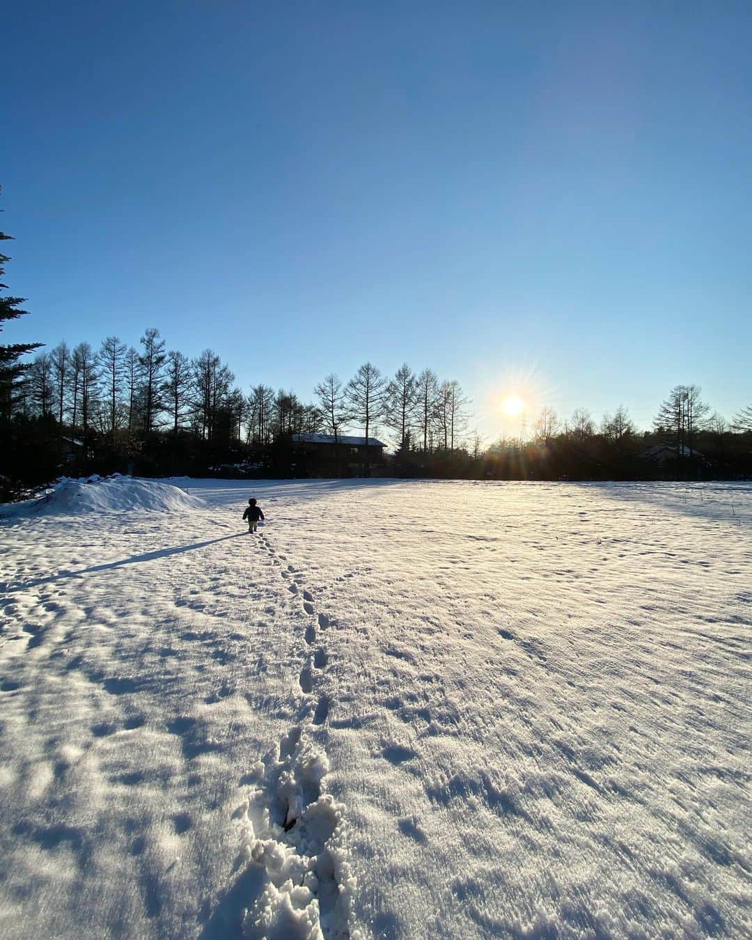 島崎直也さんのインスタグラム写真 - (島崎直也Instagram)「雪の日　ざくざく  #2歳8ヶ月」12月23日 22時29分 - naoyaman01