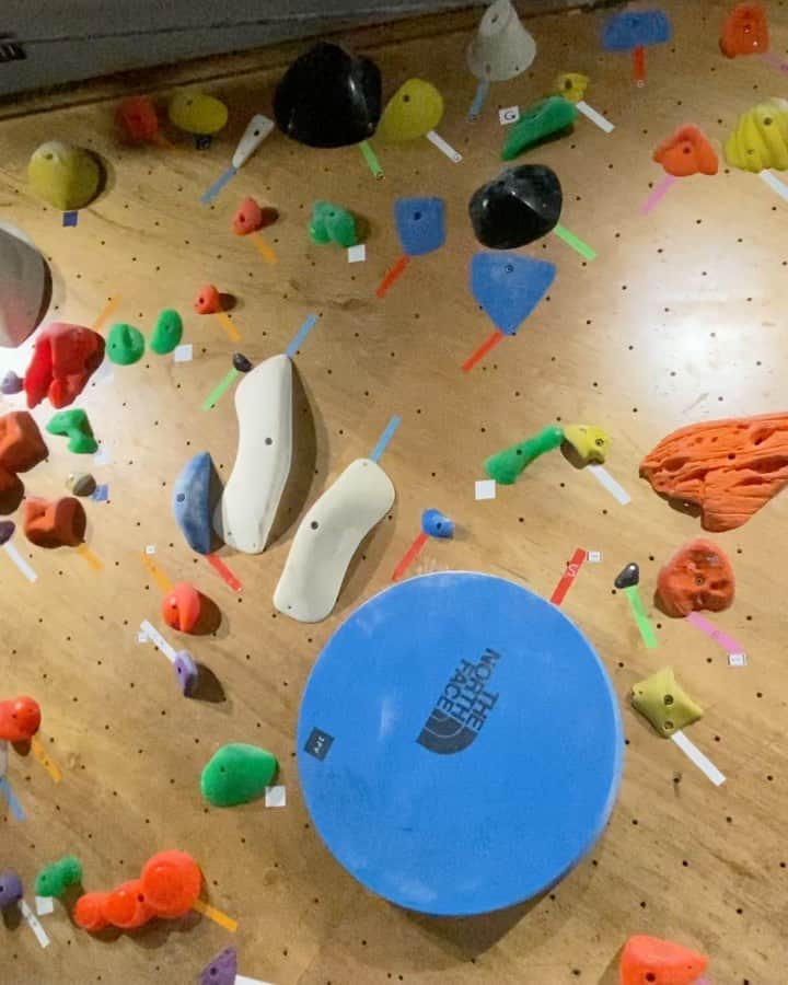 興梠友理のインスタグラム：「【術後9.5ヶ月 / 9.5 months post-surgery】 I’m starting to really enjoy climbing as my leg feels stronger to challenge more difficult routes👍 ・ 本日リニューアルしたデビュー壁の難しめな5級頂きました❤️ ・ スタートのフットホールドがないから、左足でのスメアがなかなか強度高かった😅 ・ そしてヒールする足が右足でよかった‼️🤣 ・ #努力は絶対裏切らない #ろぎ子の復活までの記録 #膝脱臼 #複合靭帯損傷 #前十字靭帯断裂 (ACL) #後十字靭帯断裂 (PCL) #内側側副靱帯断裂 (MCL) #内側膝蓋大腿靭帯断裂 (MPFL)  #前十字靭帯再建 #後十字靭帯再建 #半月板縫合 #半月板部分切除 #nevergiveup #roadtorecovery #kneeinjury #kneeinjuryrecovery #kneeinjuryrehab #multipleligamenttears #aclrecovery #bouldering #climbing #basecamptokyo #ベースキャンプ東京 #クライミング #ボルダリング」