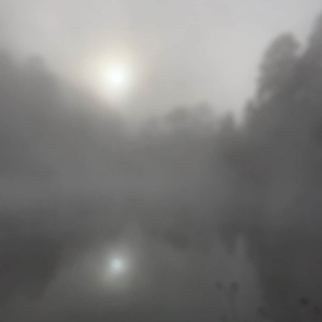 大川佑のグルメインスタ