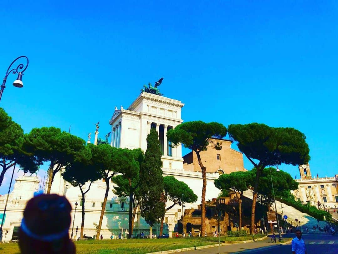ころさんのインスタグラム写真 - (ころInstagram)「ころツーリスト in #イタリア (#ローマ ) .  おはようございます☀ . カンピドーリョ広場😊 . ローマの七丘と言われているカンピドーリョ丘にある広場😄 . 観光地らしいのですが、事前には見つけられず歩いている時にたまたま圧倒的な存在感に直ぐに気づいてしまいました😆💦💦 . ころの他の写真を見たい方はこちらから！  @koro.dottokoi .  #ころツーリスト #旅 #旅日記 #旅スタグラム #旅すたぐらむ #トラベラー #旅に出たい #旅の記録 #旅好き #旅写真 #旅行好き #旅したくなるフォト #旅フォト #マイトリ #旅行大好き #わんこ #ぬいぐるみ #ぬいどり #ぬい撮り写真部 #マイトリップ #旅の思い出 #旅の思い出 #ぬい撮り #ぬい撮りさんと繋がりたい #ぬいすたぐらむ」12月24日 10時41分 - koro.dottokoi