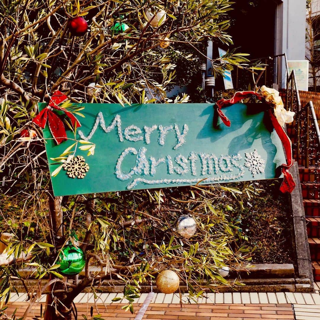 関東学院大学さんのインスタグラム写真 - (関東学院大学Instagram)「#メリークリスマス #merrychristmas  #クリスマスイブ  #降誕祭 #キリスト教学校 #ミッションスクール #横浜 #yokohama」12月24日 9時38分 - kguofficial