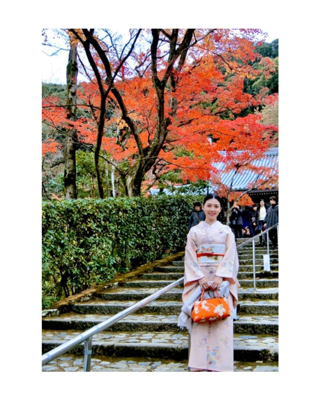 川村亜紀さんのインスタグラム写真 - (川村亜紀Instagram)「🍁👘✨ #leaveschanging #leaves🍁 #kyoto #eikando #🍁 #お着物 や #花街 #歌舞伎 など #日本の伝統 が長く守られ受け継がれますように。 #kimono #kimonocordinate #japanesekimono #japanesetradition #beautifultradition #lovekimono  #instakimono  #お着物 #お着物コーディネイト #日本の伝統 #守るべきもの #帯とお着物 #帯締めと帯揚げ #お草履とバッグ #帯留め #組み合わせが楽しい  #袷 #小紋 #染め帯 #花筏 #長吉呉服店 さん #きねや さん #亜紀の和装記録」12月24日 10時01分 - _aki1015_