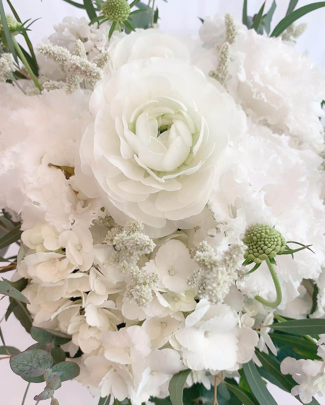 和泉佳子さんのインスタグラム写真 - (和泉佳子Instagram)「思いがけず届いた真っ白で美しいお花. . さりげなく気遣ってくれた、その気持ちが嬉しくて、優しさに感謝💗 . こういう時は、Thank you ではなく、日本語で伝えたい… 「ありがとう」  #ありがとう」12月24日 10時28分 - yoshiko_izumi