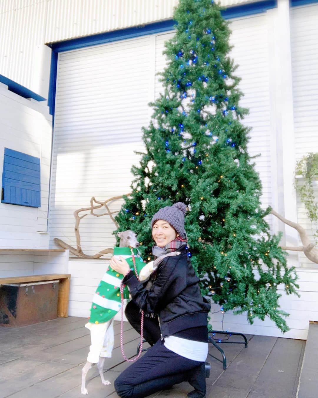 のインスタグラム：「* ******** Two christmas trees🎄 * 12月限定のお洋服。 着ていると沢山の方に声を掛けて頂いて、その度にハウルも嬉しそうにご挨拶をしています☺️❤️ また、前回の投稿にコメント下さった方々、優しいお言葉と温かいお気遣い本当にありがとうございます🙇‍♀️✨ 体調に気をつけながら、ハウルと2人きりの愛しい日々を大切に過ごしていこうと思います。 * ******** #イタグレ#イタリアングレーハウンド#italiangreyhound#dogstagram#イタグレとの暮らし#iggysofinstagram#iggygram #iggylove#iggylife#犬のいる暮らし#イタグレ服#iggysoftheworld #iggysofinstagram #dogsofig #dogsofinstagram #プチプラコーデ #犬好きな人と繋がりたい#オシャレさんと繋がりたい#犬服ハンドメイド#リンクコーデ#おんせん県おおいた#プレママ#マタニティ」