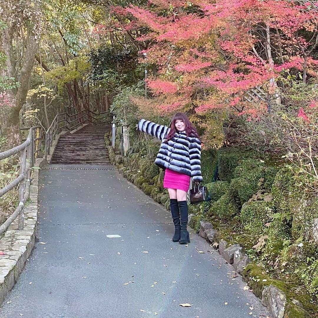 美香さんのインスタグラム写真 - (美香Instagram)「紅葉🍁の日本🇯🇵って素敵⭐️ 四季があるからこそ五感が豊かに研ぎ澄まされていく感じがする💖  冷んやりとした空気の香りは繊細でいて落ち着いているね  ハワイの暖かい弾力のある空気と違うね‼️ 都会も大好き❤だけど自然も大好き❤ そして人がなにより大好き❤  お友達は財産だよ！ ある意味に、おいてはお金より大切💴💰 わたくしの人生のテーマはお金と愛だから、愛にもいろいろある♡  基本的に性善説のわたくしは 楽しい事が大好き❤  だからお家にいるよりお出かけしたい、。 明日はどこに誰といるんだろう、。笑  #お金も愛も手に入れる生き方働き方  #おしゃれさんと繋がりたい  #パーソナルトレーニング #お金  #不動産投資家と繋がりたい  #不動産  #女性起業家  #紅葉狩り  #しゃしんすきなひとと繋がりたい」12月24日 2時15分 - mika_richlife