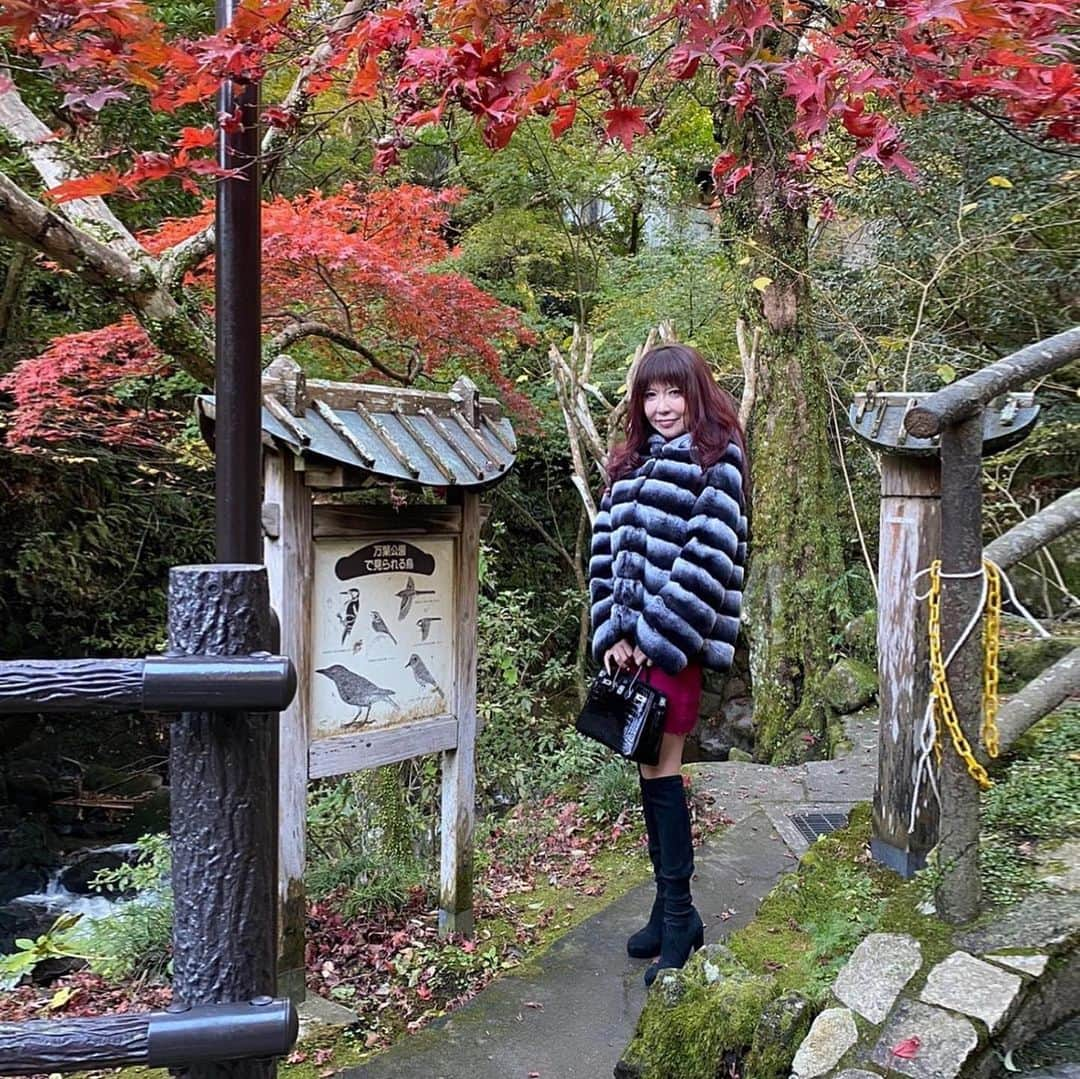 美香さんのインスタグラム写真 - (美香Instagram)「紅葉🍁の日本🇯🇵って素敵⭐️ 四季があるからこそ五感が豊かに研ぎ澄まされていく感じがする💖  冷んやりとした空気の香りは繊細でいて落ち着いているね  ハワイの暖かい弾力のある空気と違うね‼️ 都会も大好き❤だけど自然も大好き❤ そして人がなにより大好き❤  お友達は財産だよ！ ある意味に、おいてはお金より大切💴💰 わたくしの人生のテーマはお金と愛だから、愛にもいろいろある♡  基本的に性善説のわたくしは 楽しい事が大好き❤  だからお家にいるよりお出かけしたい、。 明日はどこに誰といるんだろう、。笑  #お金も愛も手に入れる生き方働き方  #おしゃれさんと繋がりたい  #パーソナルトレーニング #お金  #不動産投資家と繋がりたい  #不動産  #女性起業家  #紅葉狩り  #しゃしんすきなひとと繋がりたい」12月24日 2時15分 - mika_richlife