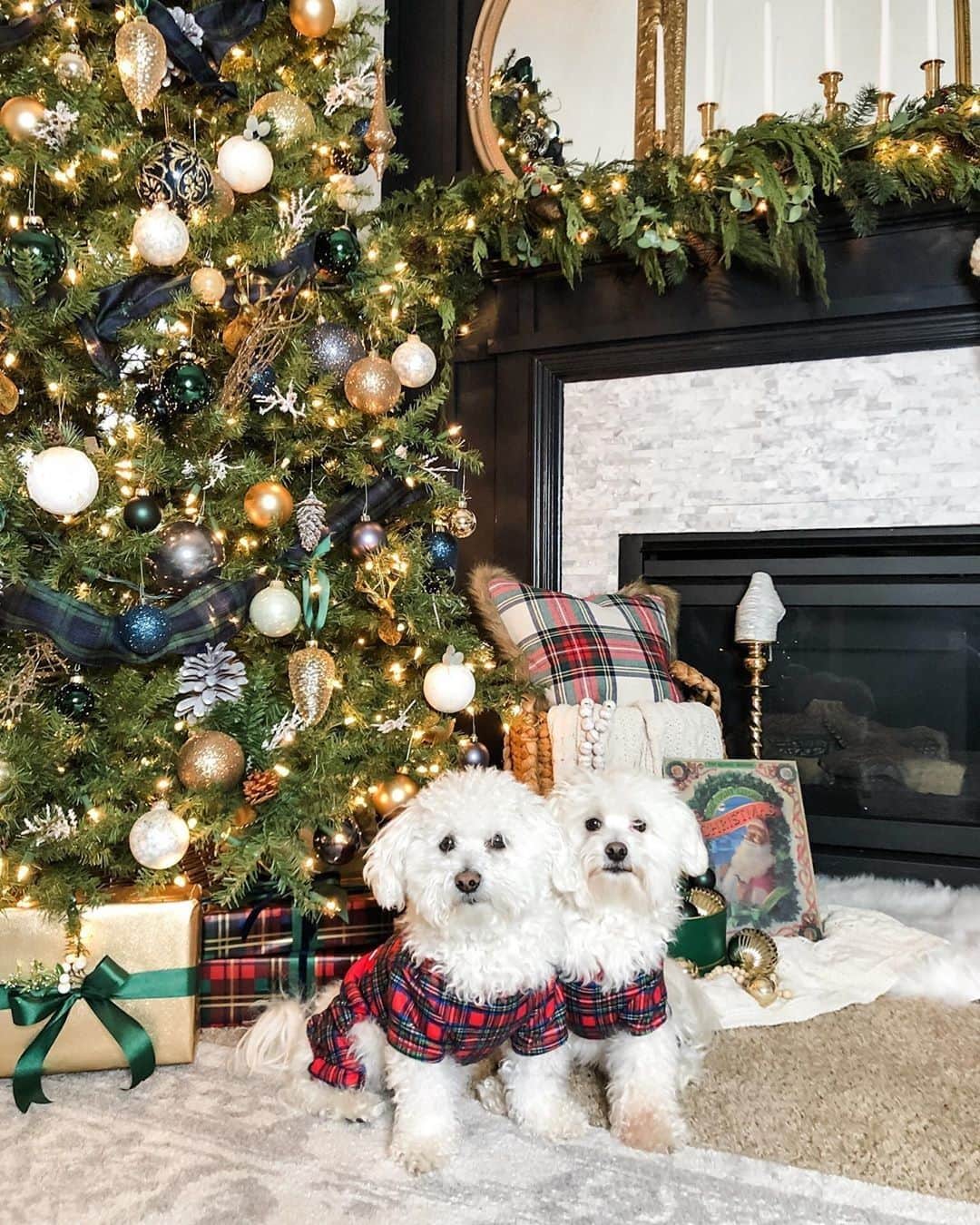 のインスタグラム：「Patiently waiting for Santa..🎅🏻🎁⠀⠀⠀⠀⠀⠀⠀⠀⠀ 📸 by @lynnallmandesign」