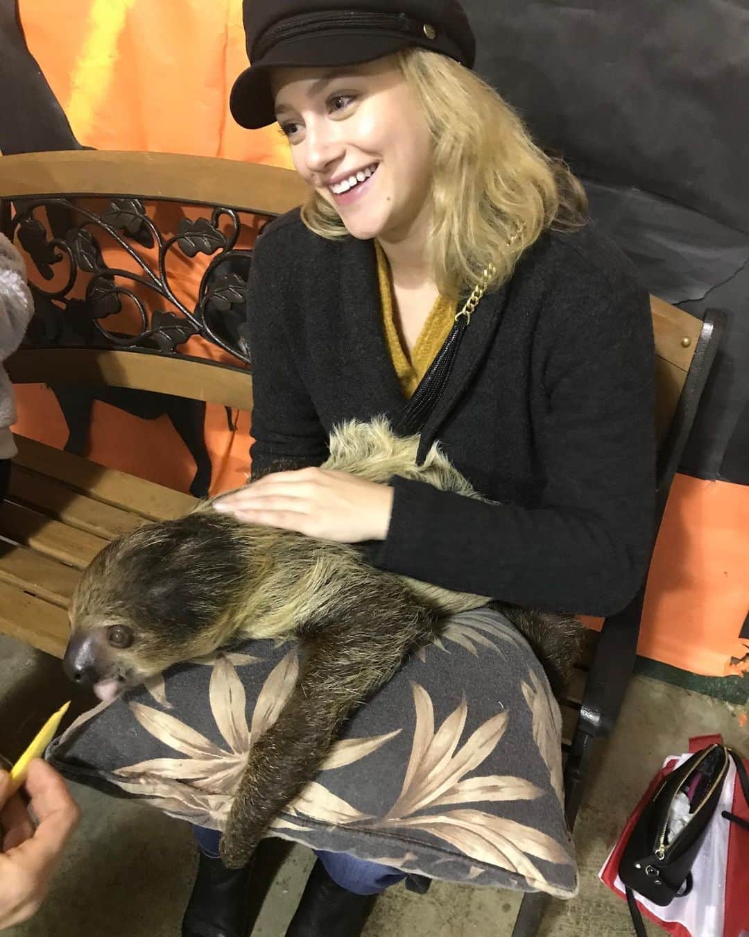 リリ・ラインハルトのインスタグラム：「I have a newfound love for sloths. This is Ignacio.」