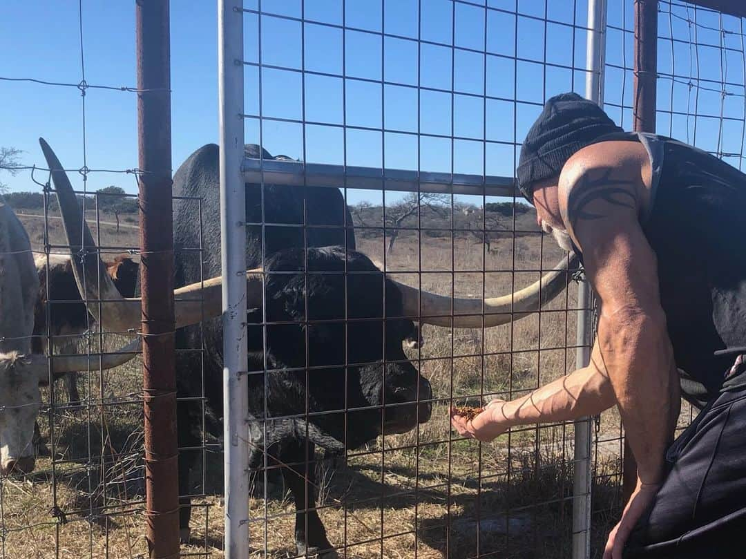 ビル・ゴールドバーグさんのインスタグラム写真 - (ビル・ゴールドバーグInstagram)「Making friends....😤 Right after this shot was taken, this big boy postured up and showed me that I could be #whosnext!!! #hesboss #staredown #thanks4notkillingme #spear #jackhammer @dodgeofficial The photo is also proof that food is a sure way to a man’s (or an animal’s) heart.」12月24日 3時22分 - goldberg95