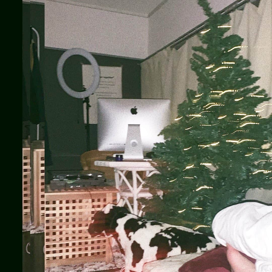 矢部ユウナさんのインスタグラム写真 - (矢部ユウナInstagram)「Christmas tree🎄🎁 売り切れで210cmのしかなくてそれ買ったけど存在感バッチリで買ってよかった👌🏼毎年クリスマスに飾るの楽しみになる」12月24日 3時48分 - yunaaay1030