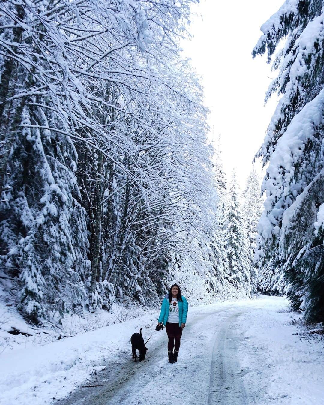 オボズさんのインスタグラム写真 - (オボズInstagram)「Snowy trails are the best trails. 📷: Oboz Ambassador @doristheexplorist 📍: Washington . . . #truetothetrail #eatallthesnow #ruffmonday #dogsofoboz #dogsofinstagram #winterhiking #winter #washington」12月24日 4時00分 - obozfootwear
