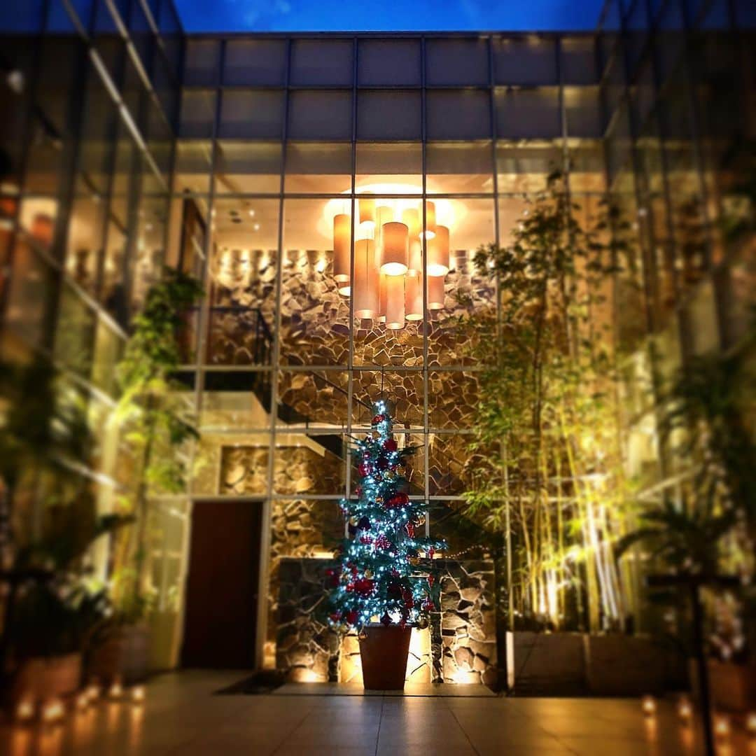 GRANADA SUITE（グラナダスィート福岡）さんのインスタグラム写真 - (GRANADA SUITE（グラナダスィート福岡）Instagram)「Merry Christmas from GRANADA SUITE FUKUOKA  クリスマスは、グラナダスィート11F 12Fに特別席をご用意しております。 コートヤードにはクリスマスツリーの演出もございます。 特別なクリスマスをグラナダスィートでお過ごし下さい。  お問い合わせ on A TABLE tel:092-283-5257  #クリスマス #merrychristmas #xmas  #グラナダスィート福岡 ‬ ‪#グラナダスイート  #オンアターブル  #onatable  #福岡カフェ #福岡グルメ  #博多カフェ  #肉活 ‬ ‪#クリスマス #忘年会 #新年会 #プレ花嫁  #卒花嫁  #卒花‬ ‪#結婚式  #ブライダル  #結婚式準備 ‬‬ ‪#日本中のプレ花嫁さんと繋がりたい ‬ ‪#全国のプレ花嫁さんと繋がりたい #2019冬婚‬  #2020春婚 #2020夏婚  #2020秋婚 #wedding ‪ #weddingdress #weddingday」12月24日 4時31分 - granadasuite_onatable