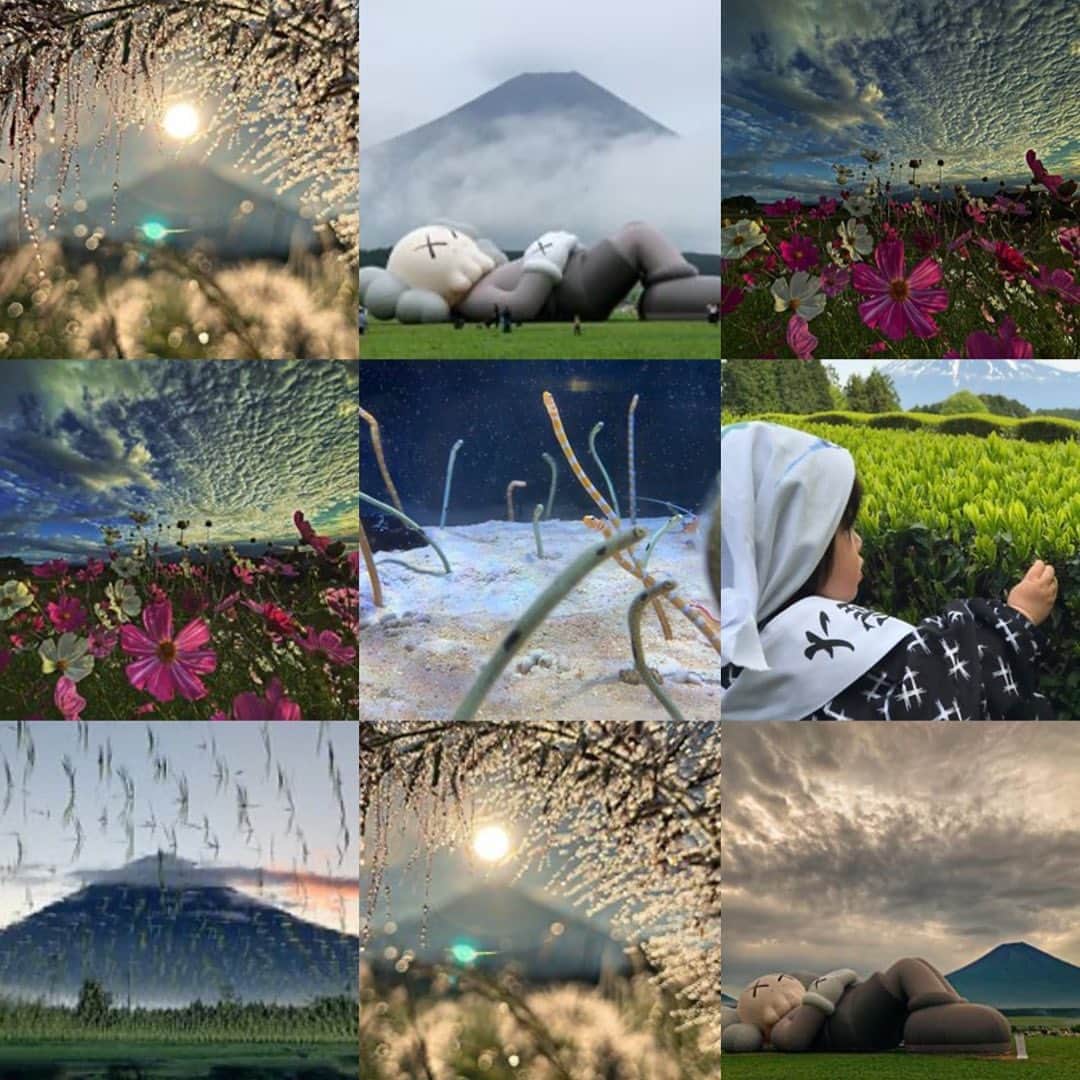 phantastic420のインスタグラム：「. 🤩🤩“Shizuoka” prefecture in Japan is a place where you can see the most “phantastic” Mt. Fuji🗻 in the world.🤩 #富士山 #mtfuji #japan #shizuoka #fujinomiya  #phantastic420photography #mostphantasticmtfuji #selamatpagi  #goodmorning  #おはようございます 😇😇😇😇😇😇😇🗻😇😇😇😇 全部#富士宮 にはならなかったかぁ🤣 Camp写真も一枚も入らなかった🤣 来年は全力で🗻ではなく🏕に力を入れて行きたいと思います🤣もちろん🗻絡ませてという事は当たり前に🤣やって行きたいと思います〜ぅ🤣今年もありがとうございました〜ほぼ全くコメントも返しませんが🤣2020もよろしくお願い致します🙏もう1日1ポストは気力がありませんが🤣1日1ストーリーズは達成したいなぁ〜🤣」