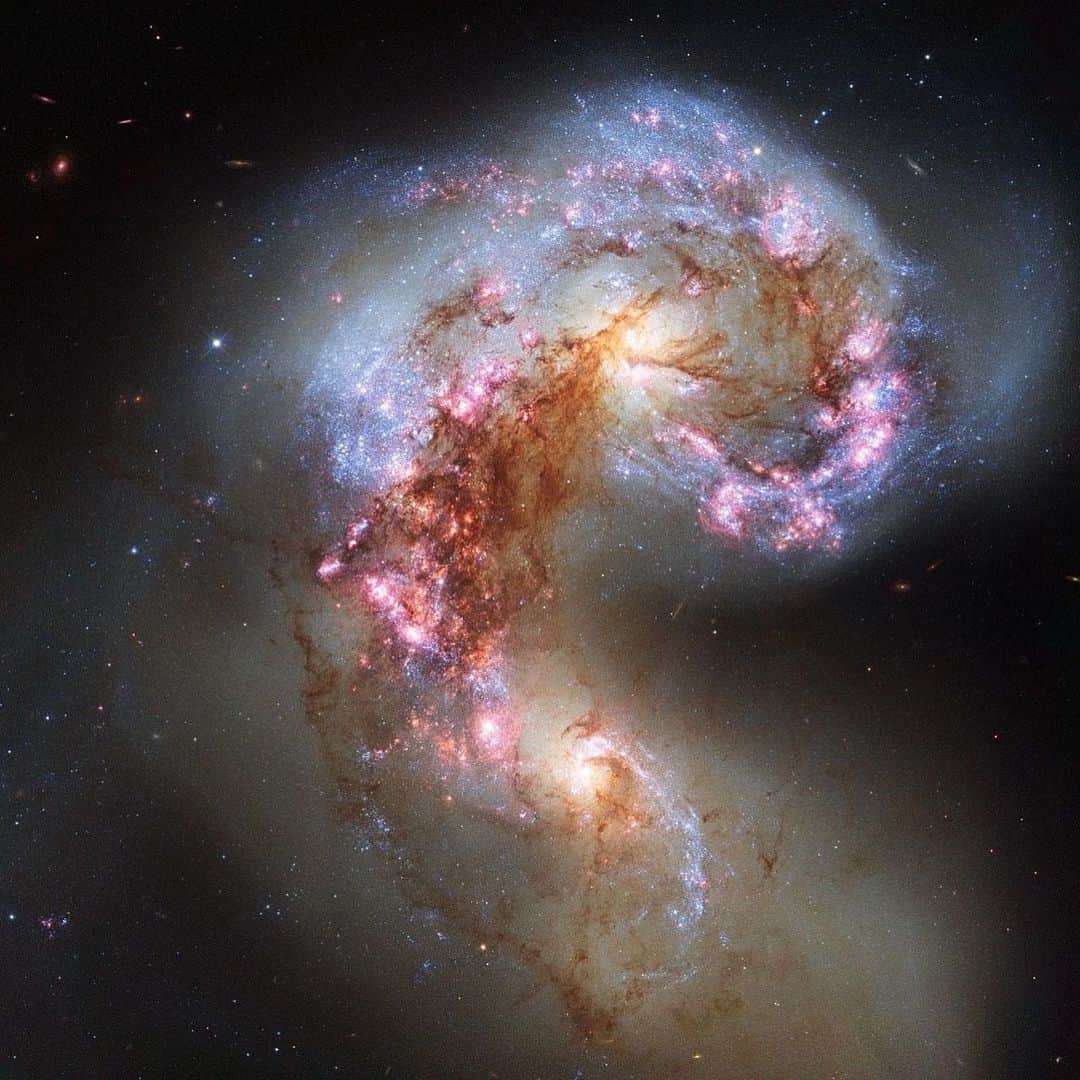 NASAさんのインスタグラム写真 - (NASAInstagram)「The majesty of @NASAHubble imagery… from your backyard. 🔭⁣ ⁣ A new gallery of Hubble Space Telescope images highlights celestial objects visible to amateur and professional astronomers alike. All of the objects are from a collection known as the Caldwell catalog, which includes 109 interesting objects visible in amateur-sized telescopes in both the northern and southern skies. Click the link in the bio for more info ⬆️⁣ ⁣ #NASA #Hubble #Space」12月24日 4時45分 - nasa